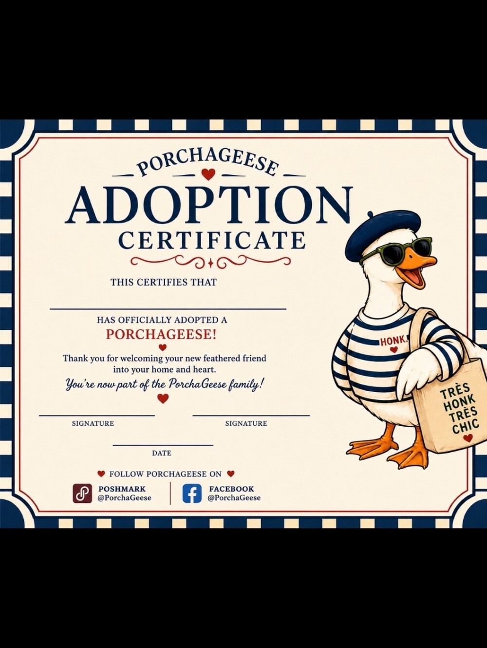 @porchageese Follow This Page For Porch Geese, Desk Geese, Clothing And More!!! - Picture 6 of 15
